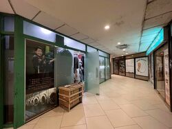 Lucky Plaza (D9), Shop House #628799461